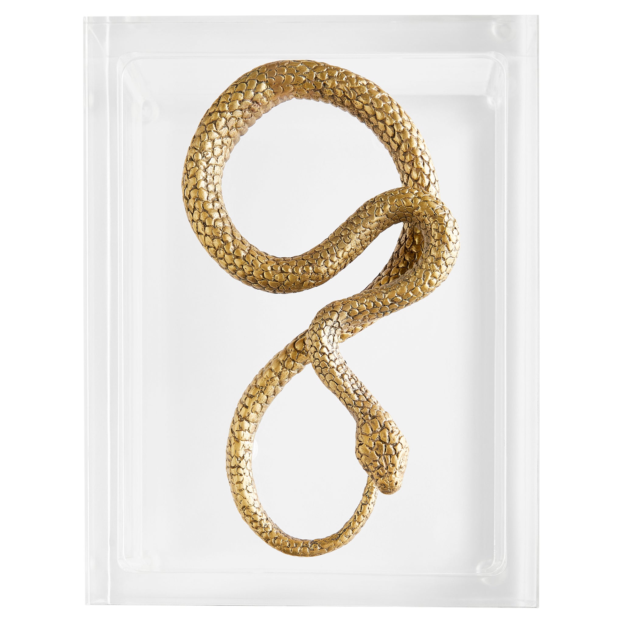Snake Box Designed by Thom Filicia | Clear | Brass - Image 3