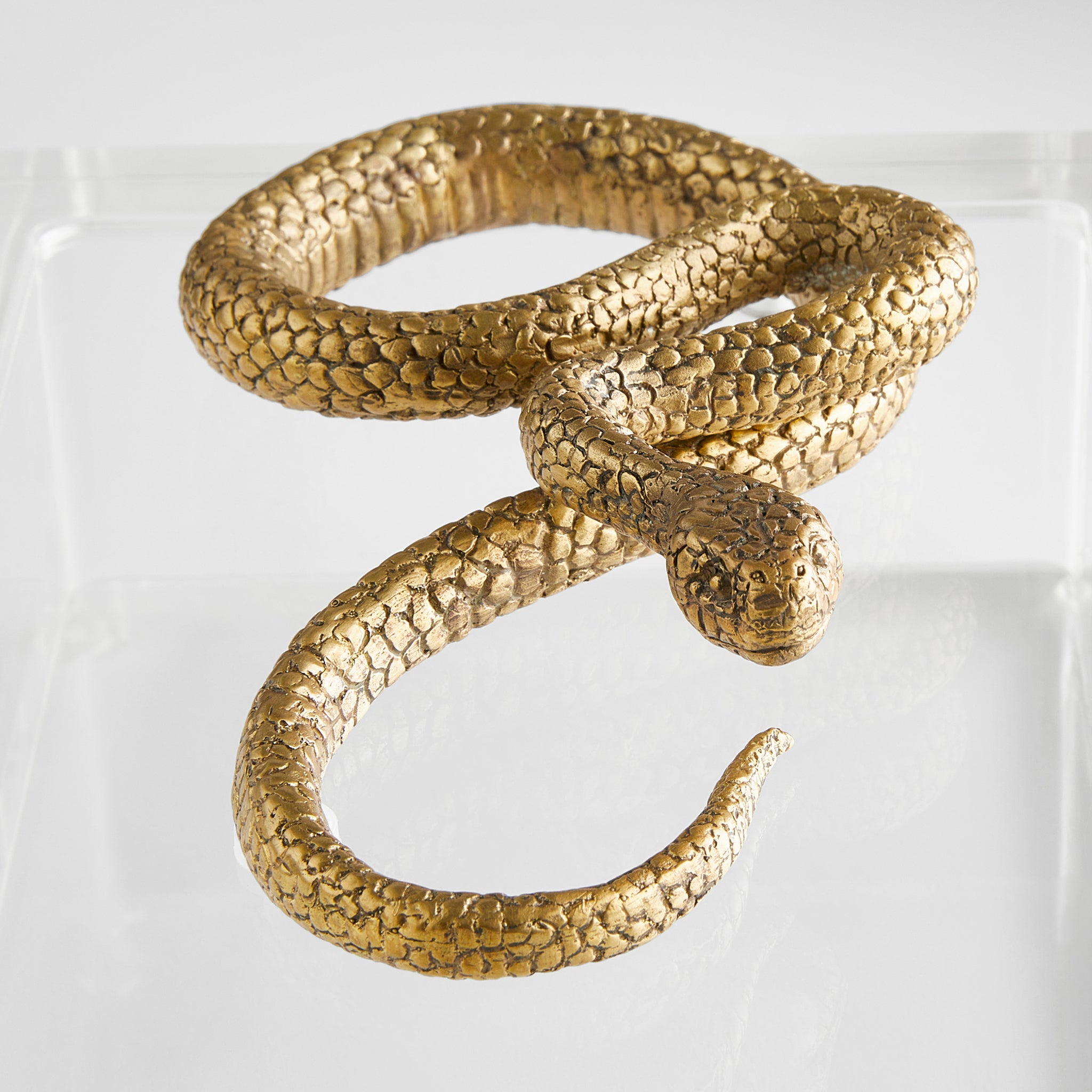 Snake Box Designed by Thom Filicia | Clear | Brass - Image 4