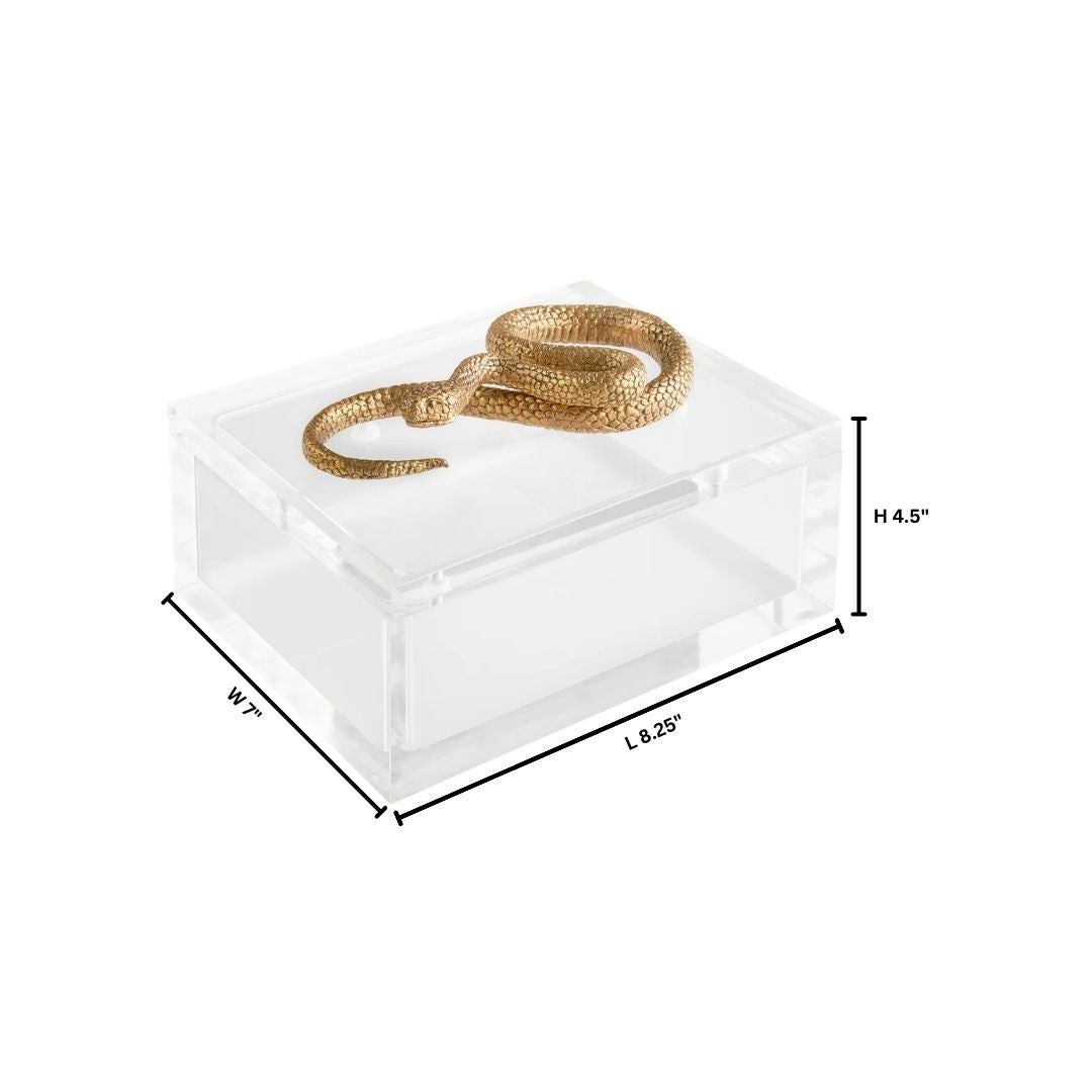 Snake Box Designed by Thom Filicia | Clear | Brass - Image 6