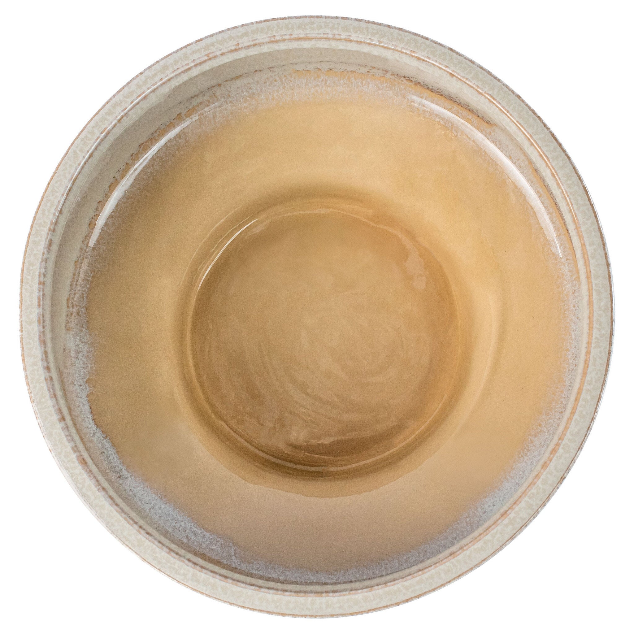 Elevated Bowl Designed by Thom Filicia | Shellish Grey - Medium - Image 5