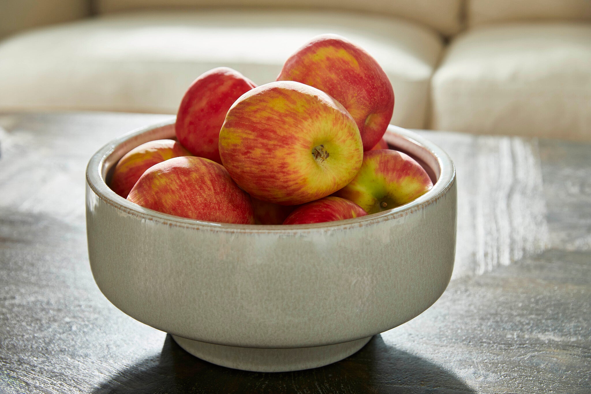 Elevated Bowl Designed by Thom Filicia | Shellish Grey - Medium - Image 7